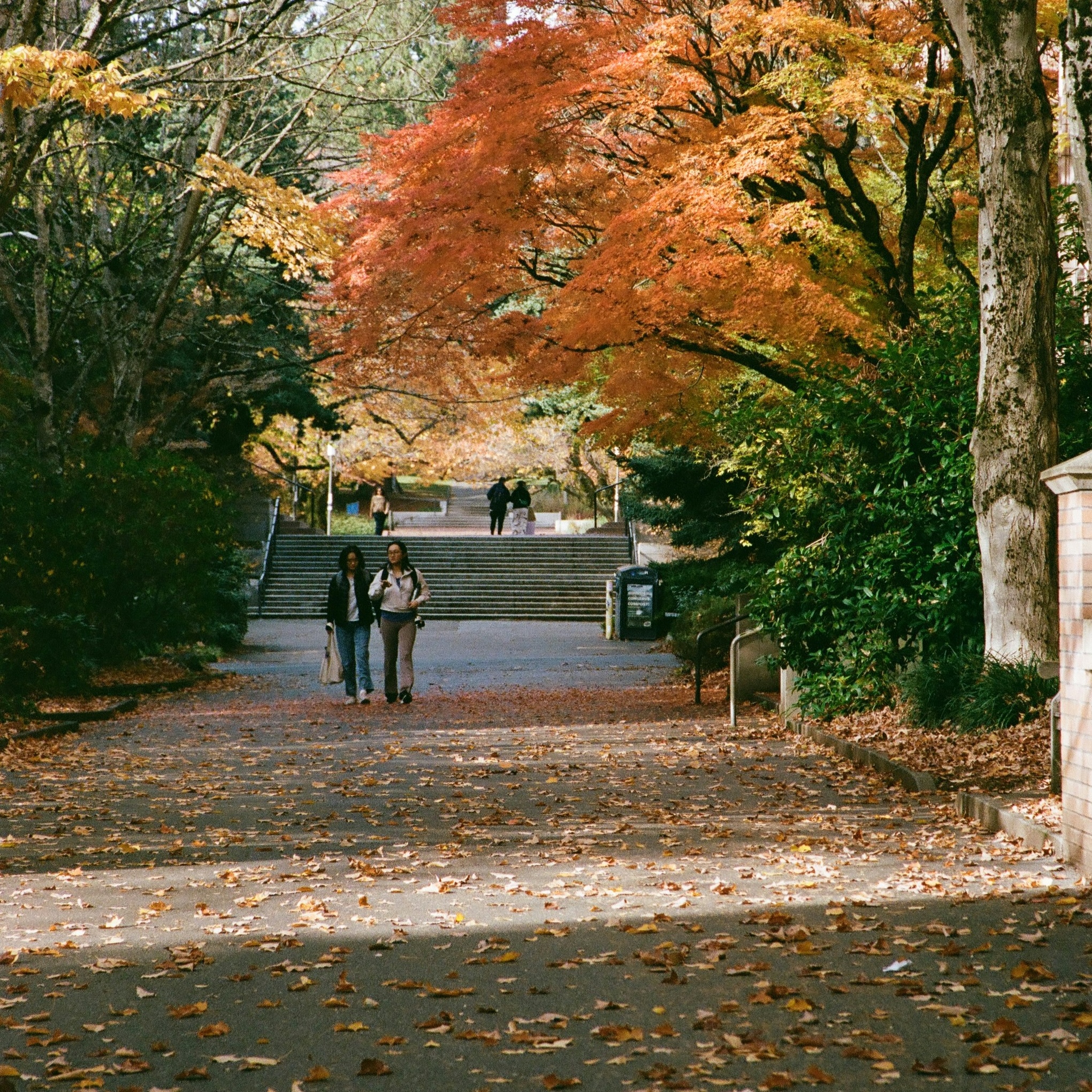 john-zhou-rJKjvHIuqAQ-unsplash copy